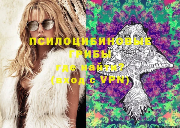 mdpv Вяземский