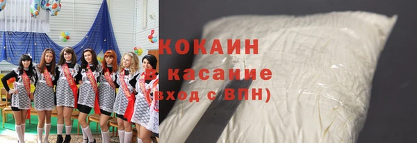 mdpv Вяземский